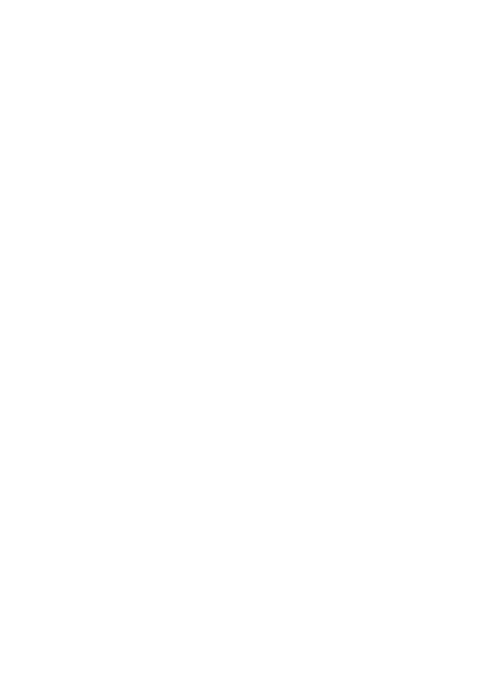 No Finish Line Logo